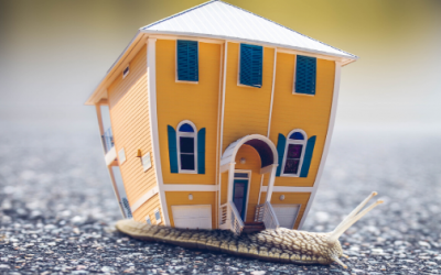 Rynek nieruchomości nadal stabilny