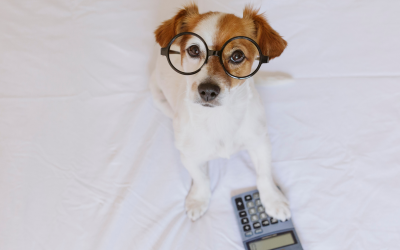 Refinansowanie kredytu hipotecznego: sprawdź, czy warto