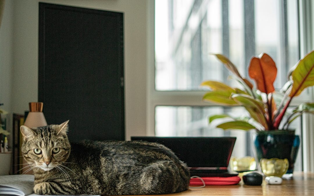 Kiedy bank może odmówić refinansowania kredytu hipotecznego? Lista 5 najczęstszych powodów